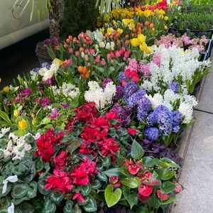 Meet your Posher, Lorien